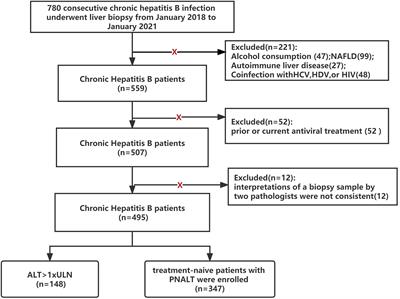 Frontiers | Effect Of The Change In Antiviral Therapy Indication On ...